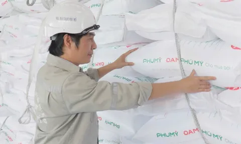 Cổ đông Đạm Phú Mỹ sẽ nhận 15% cổ tức tiền mặt và 73,7% cổ phiếu mới trong năm nay