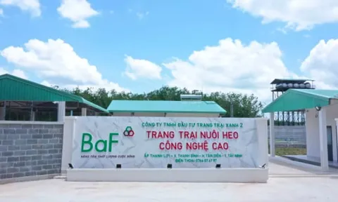 Nông nghiệp BAF Việt Nam: Âm dòng tiền kinh doanh còn phải thanh lý tài sản