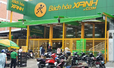 Thế Giới Di Động muốn bán tối đa 20% vốn Bách Hóa Xanh