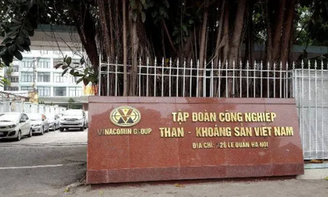 Nhiều công ty con của TKV thua lỗ, phải giám sát tài chính đặc biệt