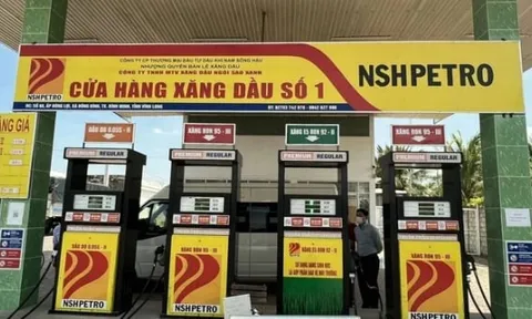 Hậu Giang: Công ty Dầu khí Nam Sông Hậu nợ thuế hơn 1.117 tỷ đồng