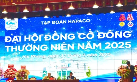 HAPACO: Lộ nhiều khoản nợ xấu từ DN liên quan chủ tịch Vũ Dương Hiền