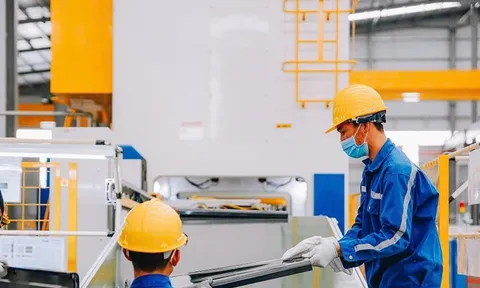 SMC ‘thay máu’ thượng tầng, cựu Chủ tịch Nguyễn Thị Ngọc Loan thoái sạch vốn, lợi nhuận tăng vọt nhưng lõi kinh doanh vẫn âm