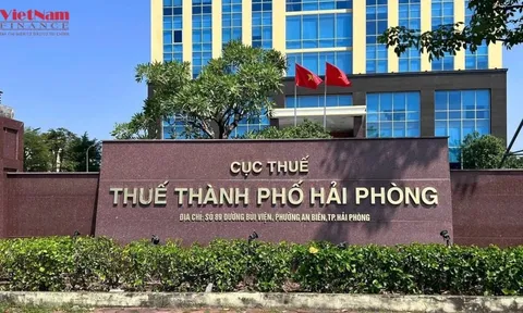 Hải Phòng: Điểm tên loạt doanh nghiệp nợ thuế lớn
