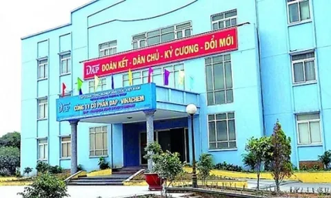 Công ty Cổ phần DAP – Vinachem bị xử phạt hơn 1,5 tỷ đồng