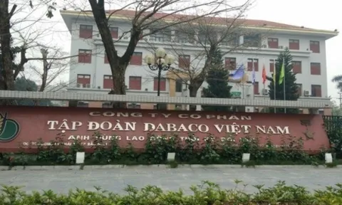 Sau kiểm toán, lợi nhuận của Dabaco “bốc hơi” 97%