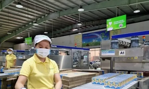 Sữa đậu nành Fami của Vinasoy bị thu hồi tại Nhật Bản