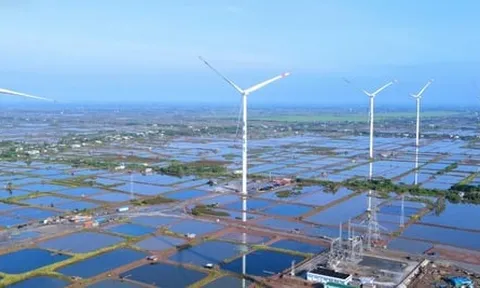 Công ty CP Điện gió Kosy Bạc Liêu bị cưỡng chế thuế