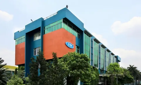 Gỗ Trường Thành lùi ĐHĐCĐ 2025: ‘Nín thở’ chờ chính sách thuế từ Mỹ
