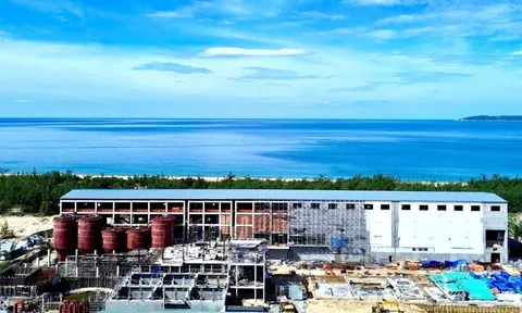 Kiểm toán tìm ra 40 tỷ hàng hoá và khoản nợ 40 tỷ 'ẩn kín' của HHP Global