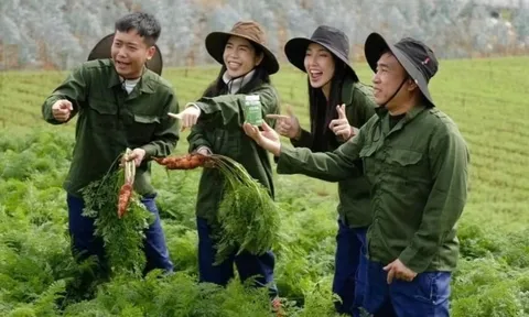 Đề nghị truy tố chủ tịch công ty sản xuất kẹo Kera cho Hằng Du Mục