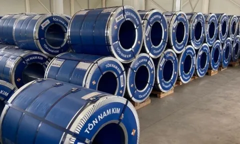 Thép Nam Kim không muốn chia cổ tức trong năm 2023