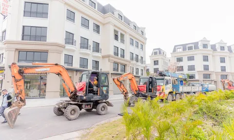 “Kiềng ba chân” bảo chứng cho lợi thế kinh doanh vững chắc tại Asia Vibe
