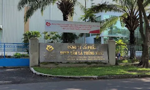 CTCP Thép tấm lá Thống Nhất: Lãi ròng giảm gần 30% sau kiểm toán, khả năng thanh toán duy trì mức không tốt
