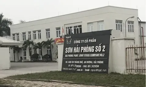 Sơn Hải Phòng: Vay nợ 580 tỷ đồng, gấp 7 lần vốn chủ sở hữu