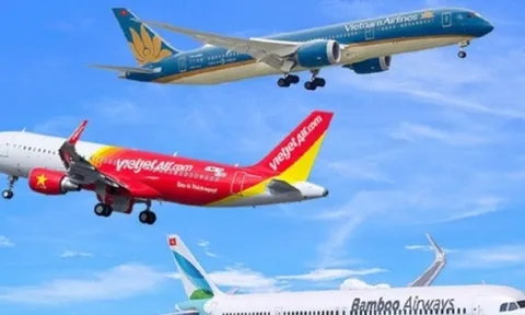 Xử nghiêm đại lý bán vé máy bay vượt giá trần