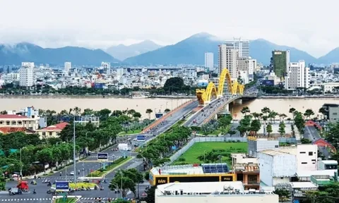 Không thực hiện nghĩa vụ tài chính, Công ty Thiên Kim bị hủy kết quả đấu giá khu đất hơn 2.900 m2