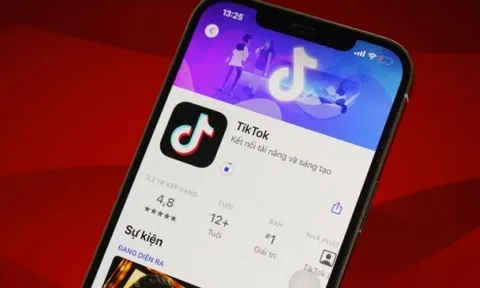 Bộ Thông tin và Truyền thông và Tổng cục Thuế sẽ thanh tra TikTok ở Việt Nam