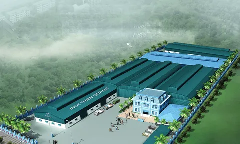 CTCP Tập đoàn Thiên Quang (ITQ): Cổ phiếu bị đưa vào diện cảnh báo, khả năng thanh toán nợ ngắn hạn thấp