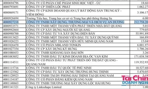 Dịch Vụ An Dương, Địa Ốc Vạn Kim đứng đầu nợ thuế tại Đà Nẵng