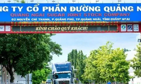 Chủ thương hiệu Vinasoy đặt chỉ tiêu trả cổ tức 2023 giảm mạnh