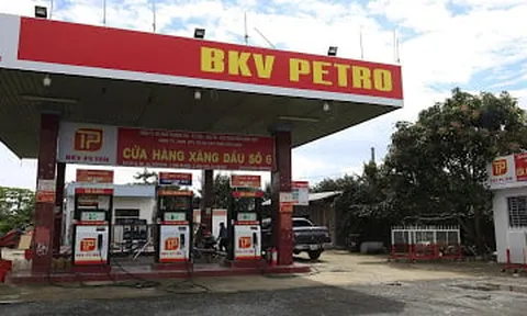 Doanh nghiệp xăng dầu Bách Khoa Việt bị cưỡng chế dừng làm thủ tục hải quan vì nợ thuế