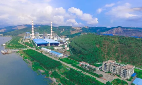 Nhiệt điện Quảng Ninh: Áp lực công nợ giữa lúc lãnh đạo dính vụ án môi trường