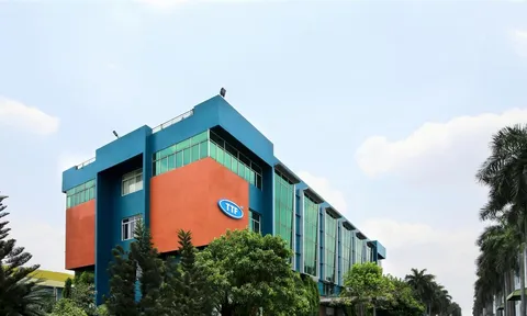 Gỗ Trường Thành (TTF) đặt chỉ tiêu lãi năm 2026, lỗ lũy kế vượt 3.250 tỷ đồng, bộ máy điều hành tiếp tục xáo trộn