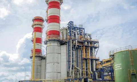 8 doanh nghiệp chốt quyền trả cổ tức bằng tiền trong tuần 10/4-16/4