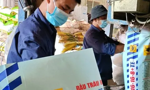 Phân bón Bình Điền “cài số lùi” lợi nhuận, dự báo tiếp tục gặp khó