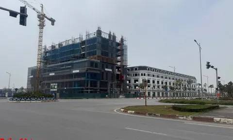 Đón tin sáp nhập Bắc Ninh - Bắc Giang: Giá đất tăng cao đột biến