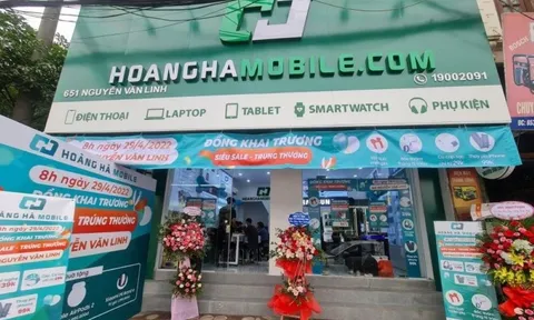 Hoàng Hà Mobile: Doanh thu gần nghìn tỷ, chi phí thuế thu nhập doanh nghiệp chưa tới 250 triệu đồng