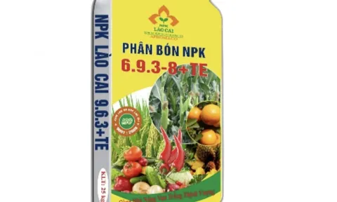 Apromaco: Lợi nhuận tăng gấp 5 lần, gánh khối nợ hơn 1.500 tỷ đồng