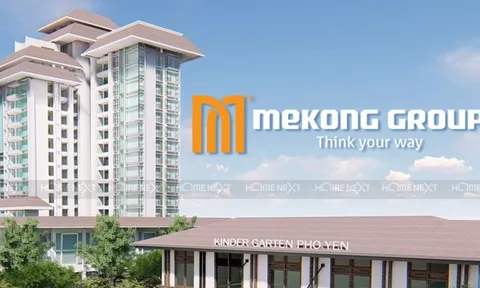 Tập đoàn Nam Mê Kông lãi gần trăm tỷ, nhưng tiền mặt co còn 19 tỷ, vay dài hạn tăng vọt lên 370 tỷ đồng