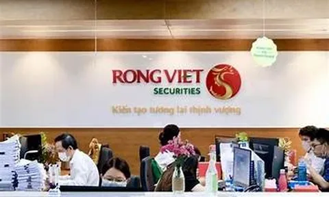 Chứng khoán Rồng Việt (VDS) bị phạt thuế tại Chi nhánh Cần Thơ, lợi nhuận ‘đi lùi’, nợ vay tăng lên gần 4.900 tỷ đồng