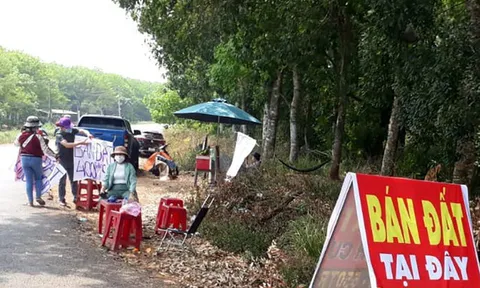Thanh Hóa: Ngăn chặn tình trạng “thổi giá” gây nhiễu loạn thông tin thị trường bất động sản