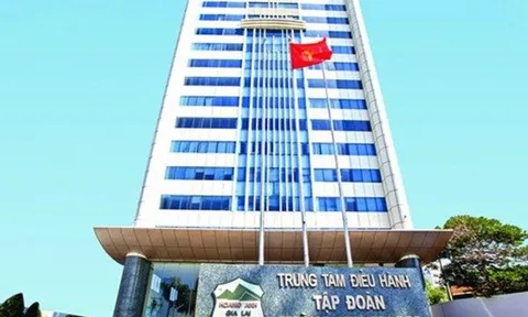 Ai rót hơn 1.700 tỷ đồng vào Hoàng Anh Gia Lai?