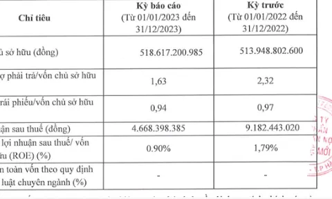 Công ty mua bán nợ của 'đại gia' Nguyễn Văn Hạnh: Nợ gần 850 tỷ, lợi nhuận bốc hơi 50%