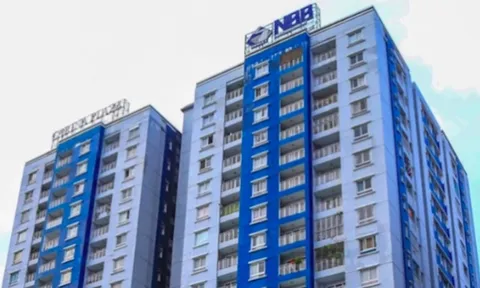 NBB: Sau 1 năm làm ăn khó khăn, đồng loạt bán vốn tại các công ty con