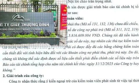 Âm vốn, lỗ nặng, Giầy Thượng Đình vẫn tính vay gần 8.000 tỷ làm dự án
