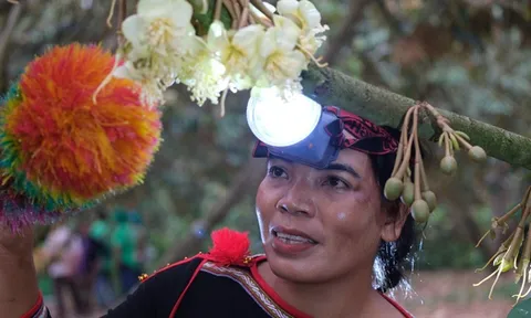 Phú Mỹ đồng hành Lễ hội sầu riêng Đắk Lắk 2026: Khởi đầu từ hoạt động thụ phấn hoa