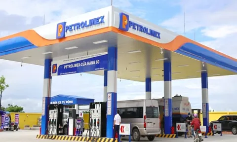 Petrolimex không đủ điều kiện công ty đại chúng