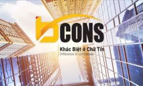 Vào 'tầm ngắm' kiểm tra thuế: Lần mở về hệ sinh thái của Bcons