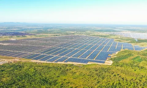 Xuân Thiện Đắk Lắk bị phạt vì vi phạm công bố thông tin trái phiếu, lợi nhuận đi lùi, nợ phải trả vẫn còn hơn 3.000 tỷ đồng