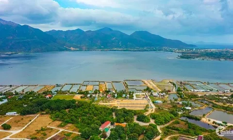 Khánh Hòa: Đẩy nhanh tiến độ xây dựng hệ số điều chỉnh giá đất năm 2022