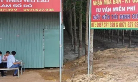 Quảng Ninh: Xử nghiêm chủ đầu tư bắt tay cò đất thổi giá, gây sốt ảo