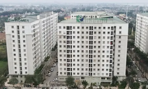 Đề xuất giảm thuế với căn hộ nhà ở xã hội để bán, thuê mua