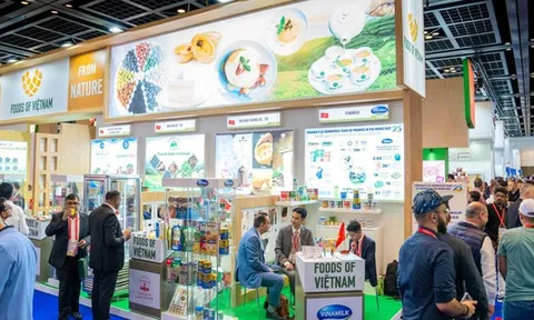 Tăng trưởng tại các thị trường chủ lực thúc đẩy doanh số xuất khẩu của Vinamilk