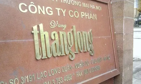 Lỗ lũy kế vượt quá vốn điều lệ, VTL đứng trước nguy cơ bị hủy niêm yết