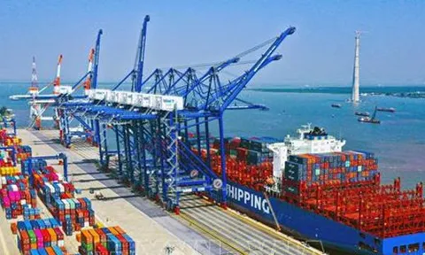 Tổng Công ty Hàng hải Việt Nam (VIMC): Lợi nhuận giảm 31%, đạt hơn 2.500 tỷ đồng